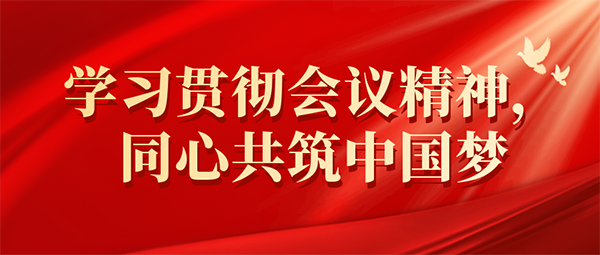 开云网页版登录入口党支部开展学习党的二十大报告系列活动