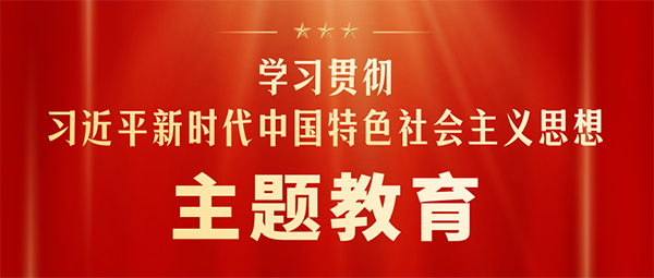 学习贯彻习近平新时代中国特色社会主义思想主题教育第一批总结暨第二批部署会议召开